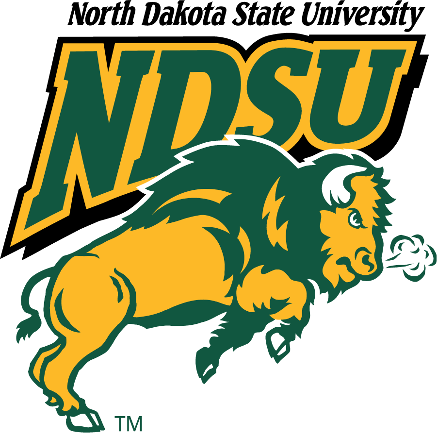 North Dakota State Bison 1999-2012 Alternate Logo v2 diy iron on heat transfer